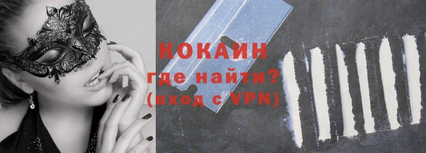 стафф Алексин