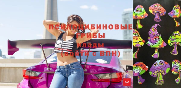 стафф Алексин