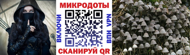 Псилоцибиновые грибы прущие грибы дарнет шоп Берёзовка